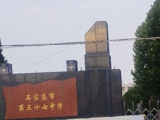 石家庄市第三十七中学
