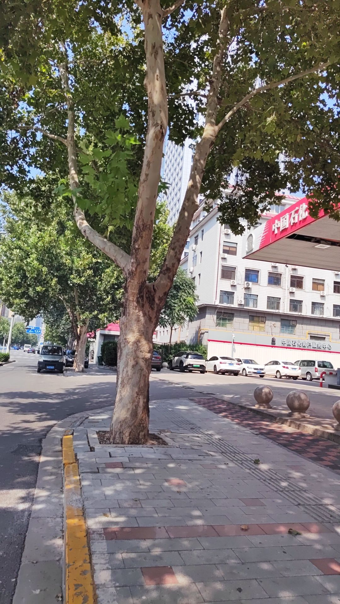 中国石化建大加油站