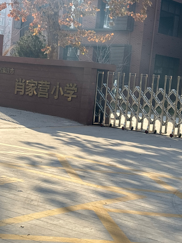 石家庄市肖家营小学