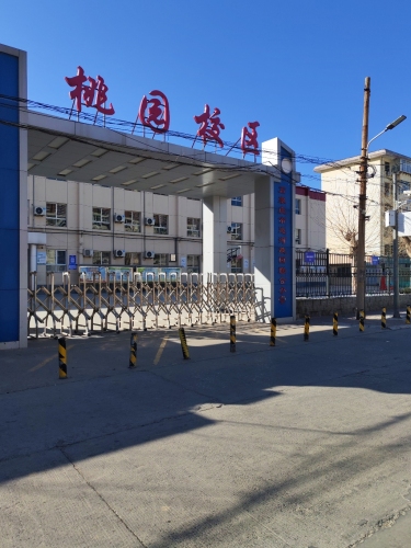桃园小学