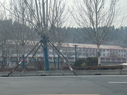 河北省平山县西柏坡镇中学