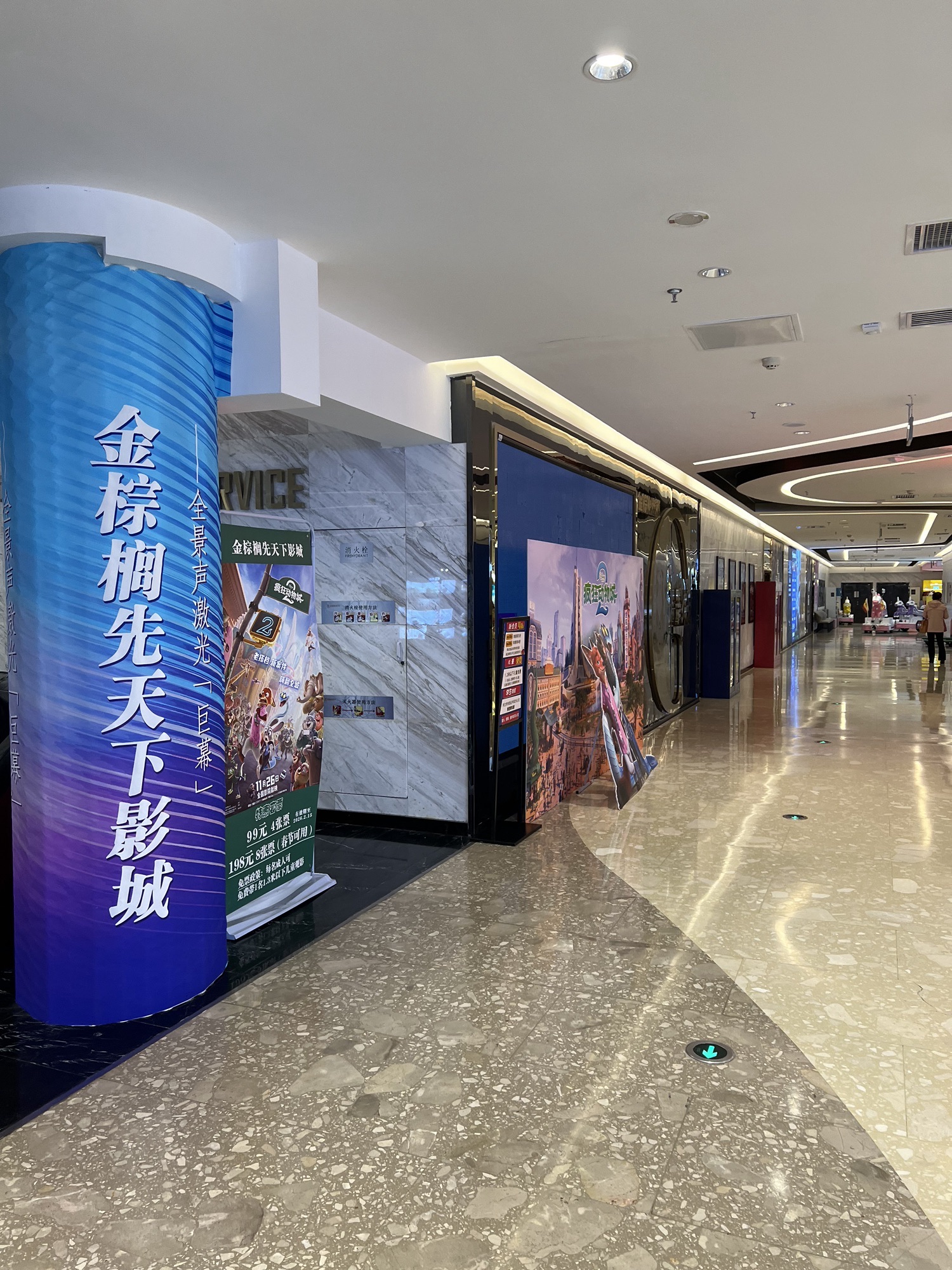 金棕榈先天下影城(北国先天下店)