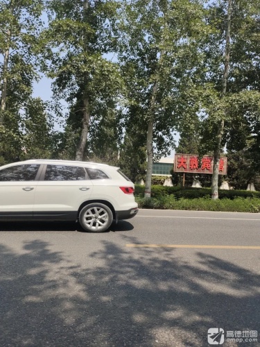 大敦宾馆
