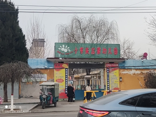 灵寿县小东关启蒙幼儿园