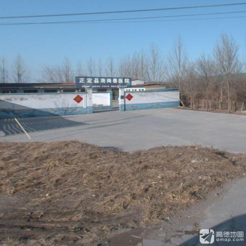 正定县南岗兽医院