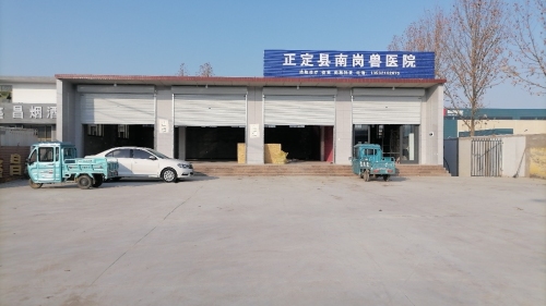 正定县南岗兽医院