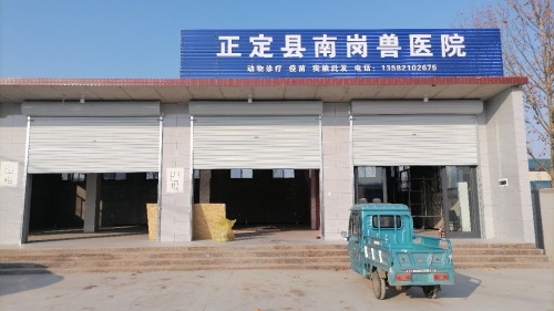 正定县南岗兽医院
