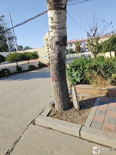 赵八镇中心小学