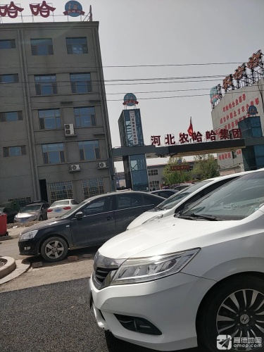 河北农哈哈集团