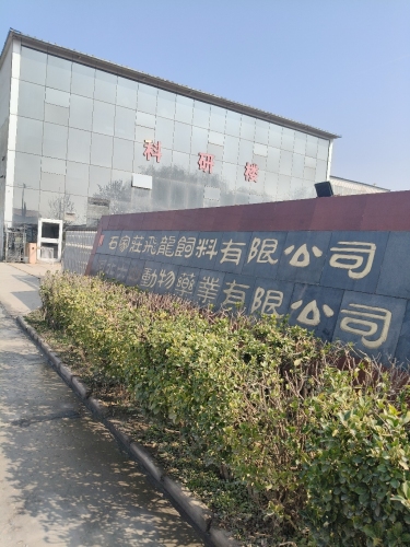 石家庄飞龙饲料有限公司