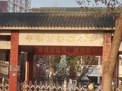 辛集市实验小学
