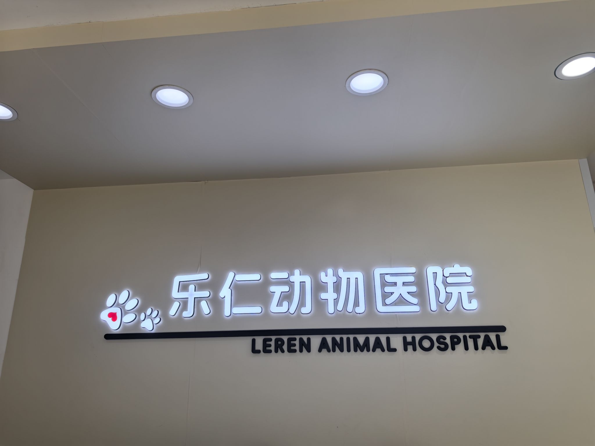 乐仁动物医院.猫科.异宠.骨科