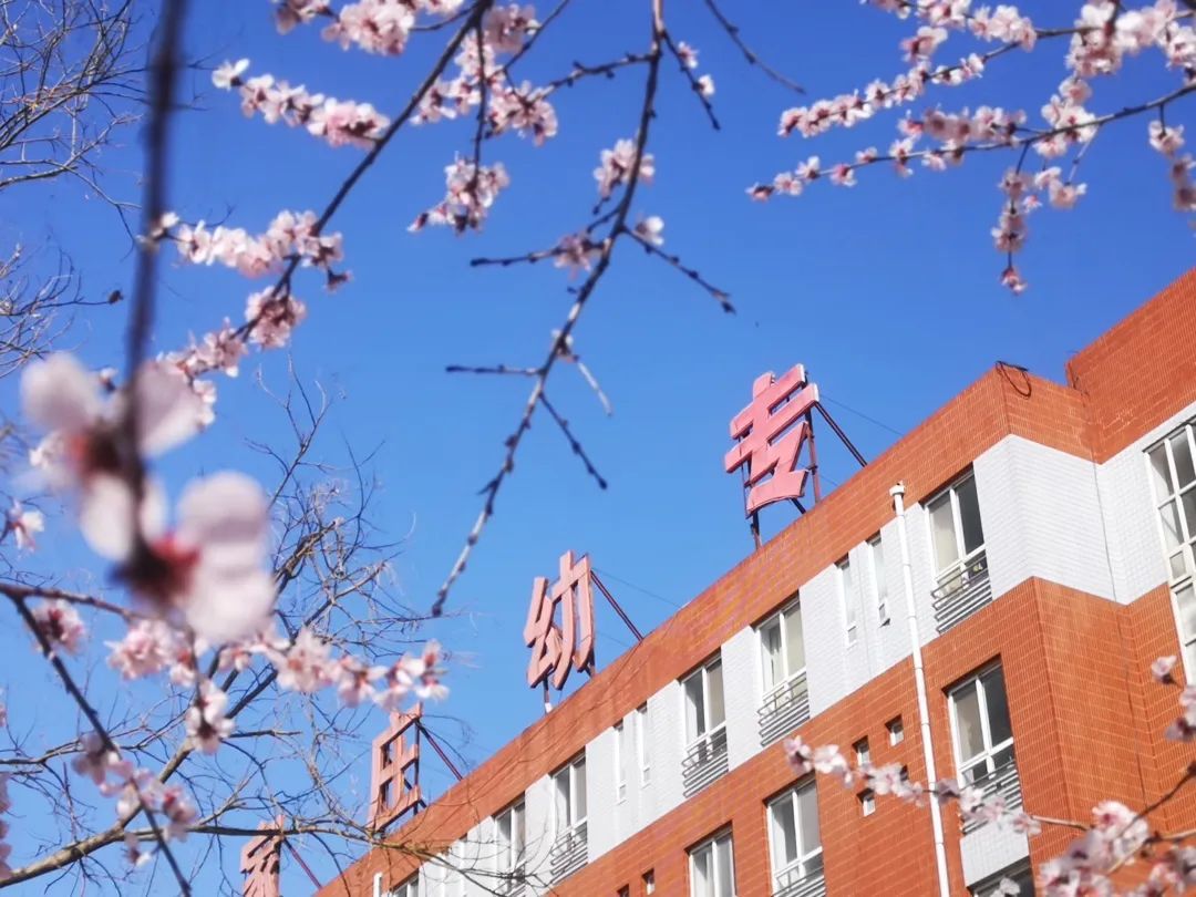 石家庄幼儿师范高等专科学校