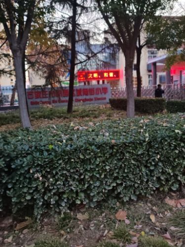 石家庄市桥西区城角街小学