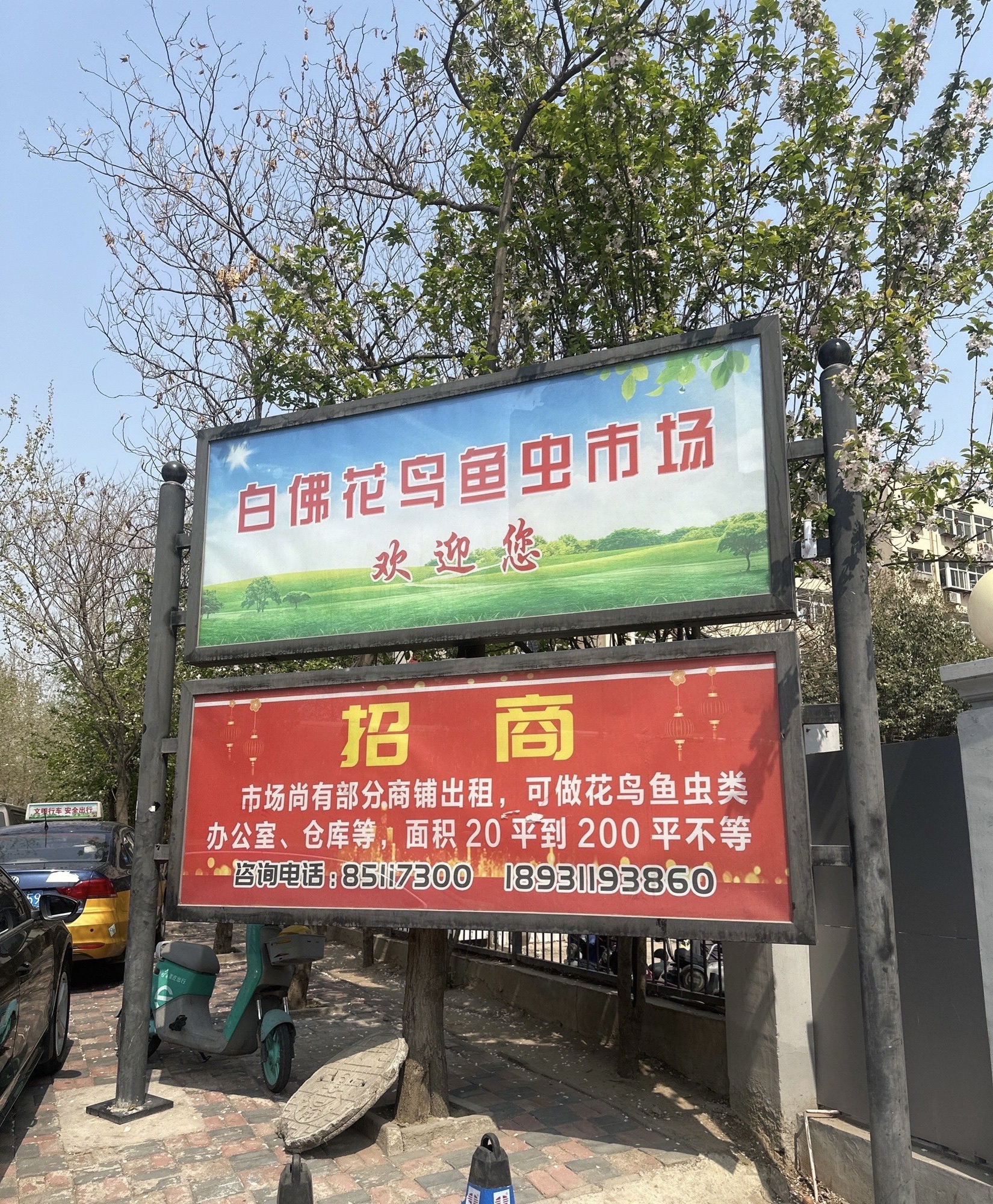 白佛花鸟鱼虫城小型宠物交易(东)区