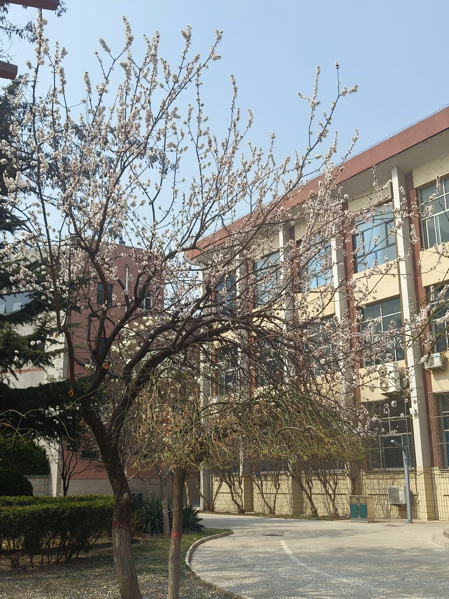 河北司法警官职业学院石家庄校区