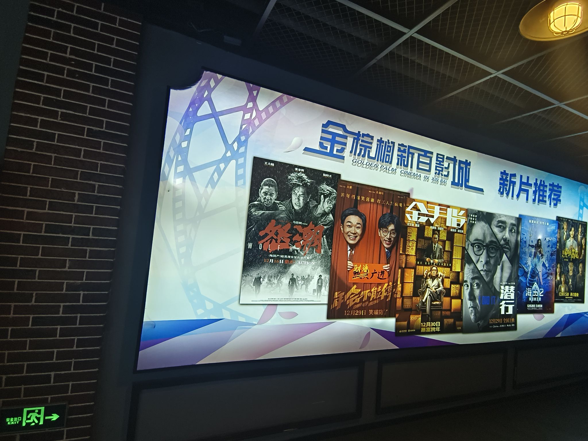 金棕榈世纪影城(新百广场店)
