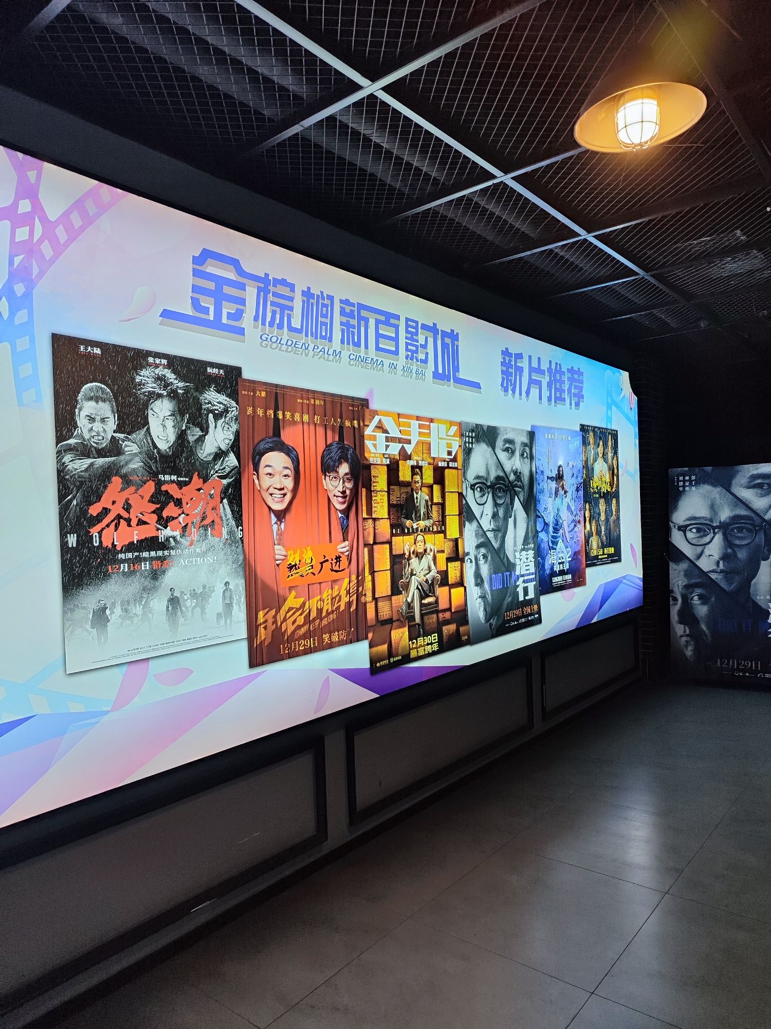 金棕榈世纪影城(新百广场店)