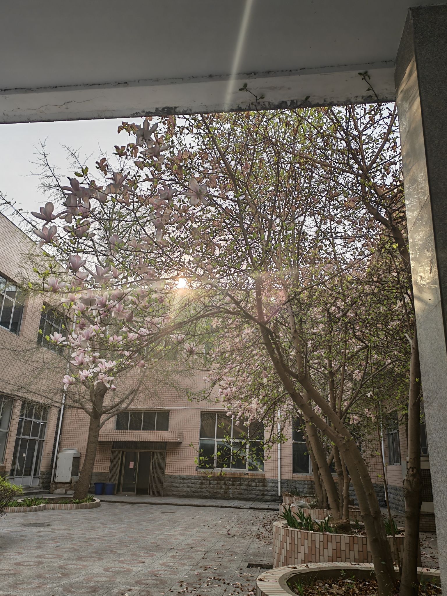 河北经贸大学经济管理学院