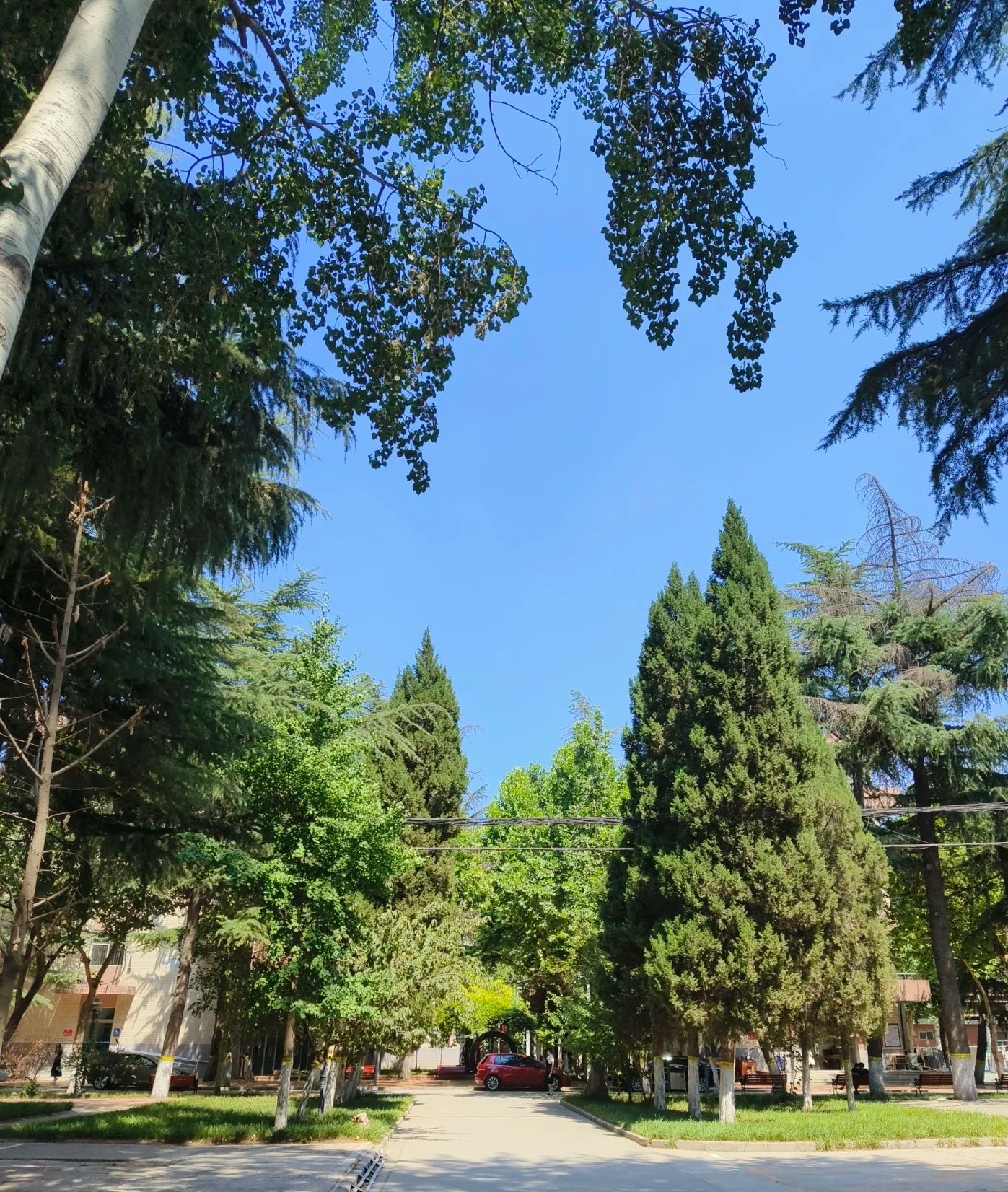 河北经贸大学经济管理学院