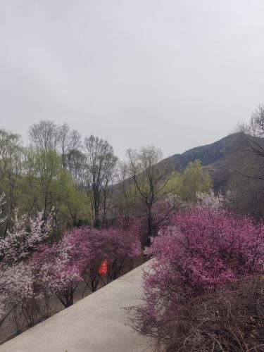 藤龙山景区售票处