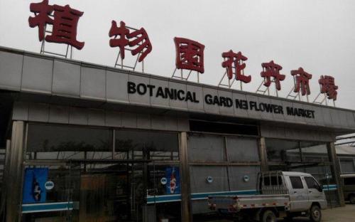 植物园花卉市场