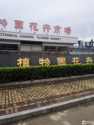 植物园花卉市场