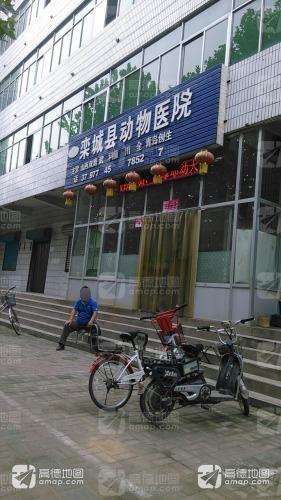 栾城区动物医院
