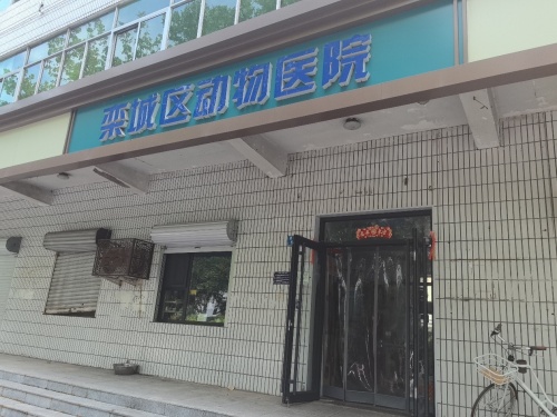 栾城区动物医院
