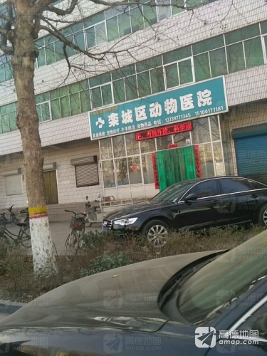 栾城区动物医院