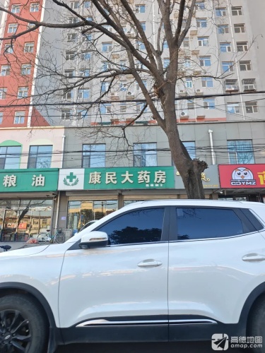 康民大药房(东川街店)