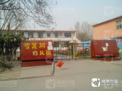 智慧树幼儿园(振兴东路)