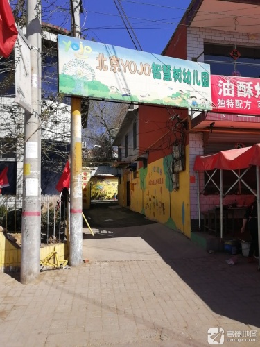 智慧树幼儿园(振兴东路)