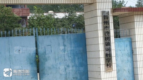槐树镇周村学校