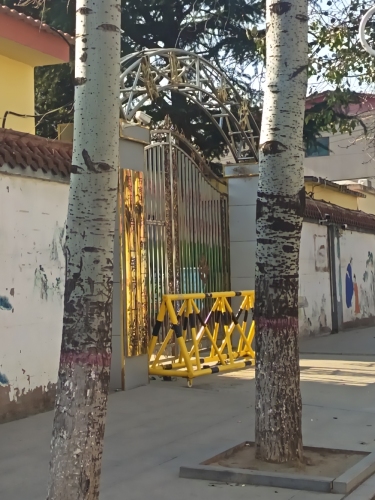 岗上小学