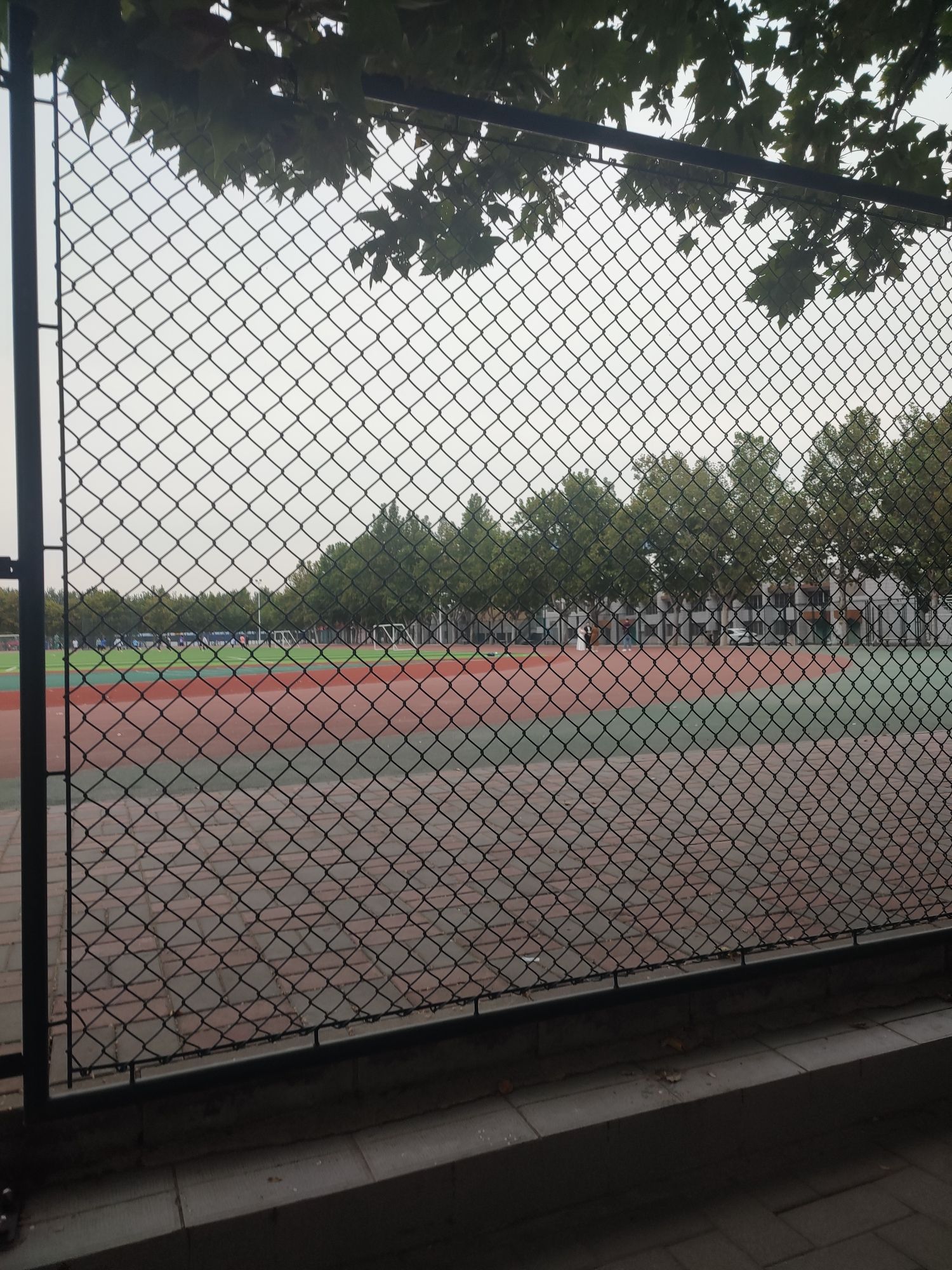 河北经贸大学西操场