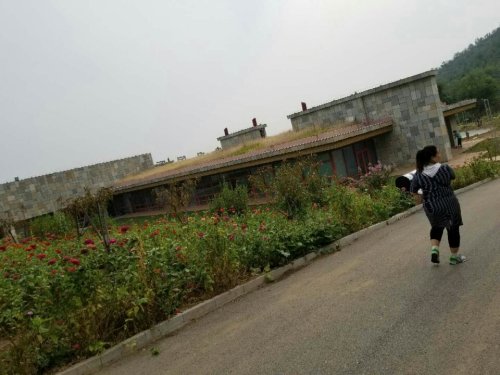 显现国际学校