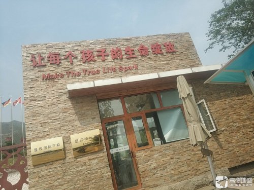 显现国际学校