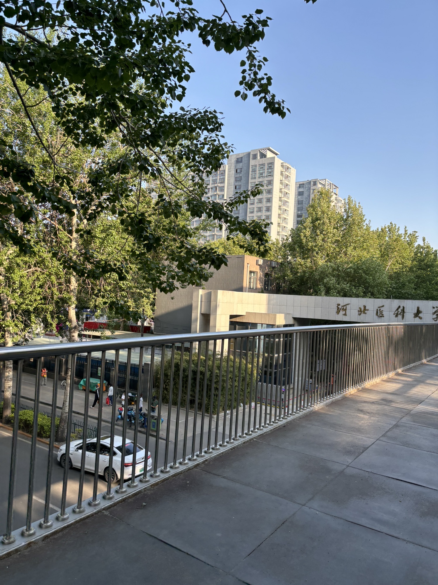 河北医科大学临床学院