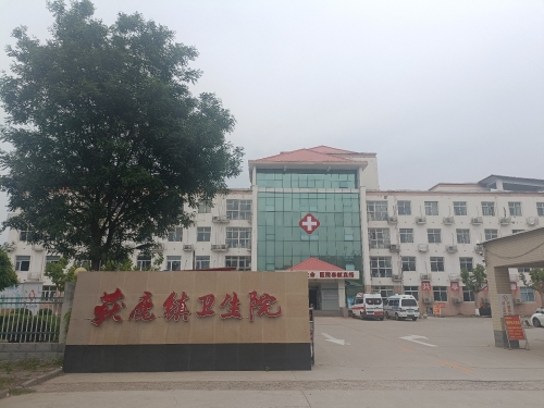 获鹿镇卫生院(北斗东路)