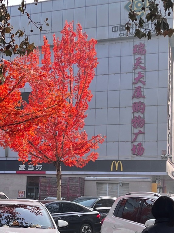 瑞天购物广场