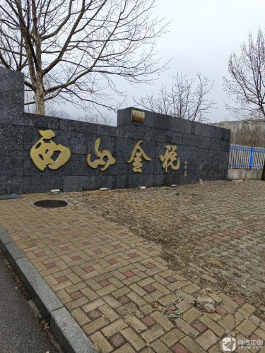 西山金税