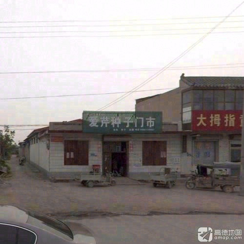 爱芹种子门市
