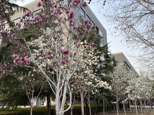 河北师范大学计算机网络中心