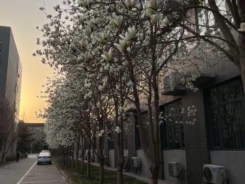 河北师范大学计算机网络中心