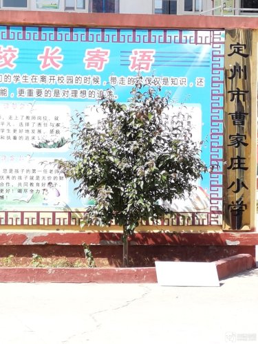 定州市曹家庄小学