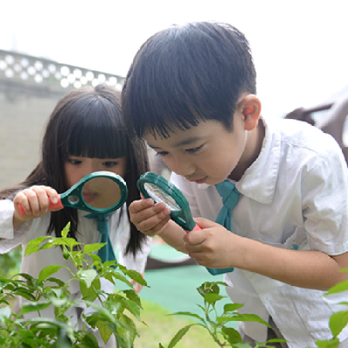 河北省定州市李亲顾幼儿园