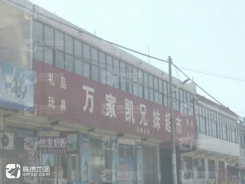 万家凯兄妹超市