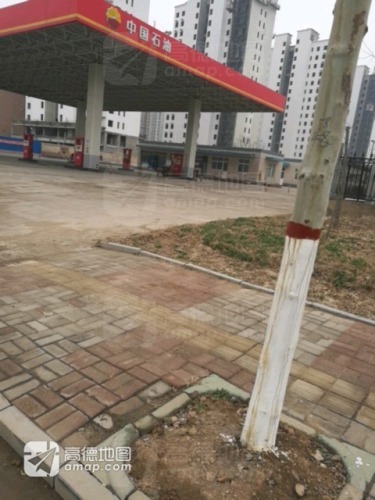 中国石油邢台新河时代路(90)加油站