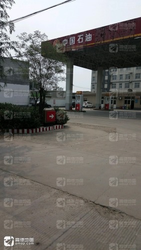 中国石油邢台新河东方(13)加油站